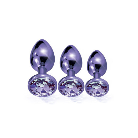 NIXIE METAL BUTT PLUG TRAINER SET, PURPLE METALLIC