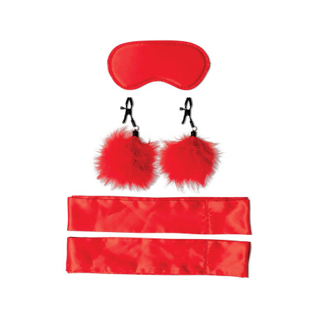SPORTSHEETS SM AMOR BONDAGE BEGINNER KIT