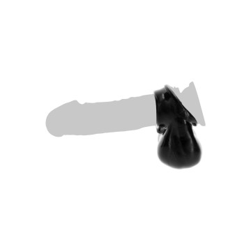 Penis Ring and Scrotum...