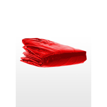 Wet Play King Size Bedsheet...