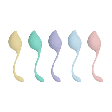 Pelvic Stem Kegel Kit -...