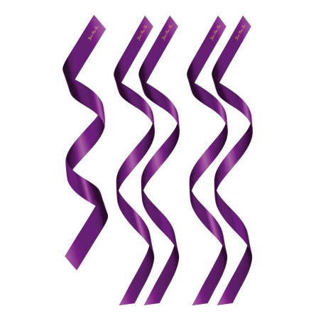 PACK HEADBANDS 1 + 4 PURPLE (Size: TU)