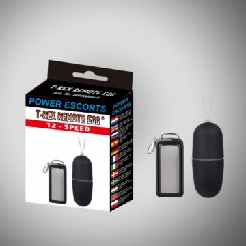 T rex remote egg black...