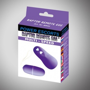 Raptor remote egg purple...