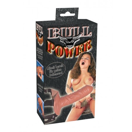 Proteza-Bull Power