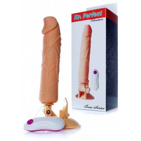 Wibrator-Mr. Perfect Vibration 12 functions