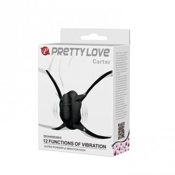 PRETTY LOVE - Carter 12...