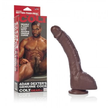 Dildo-COLT ADAM DEXTER DONG...