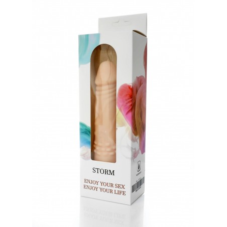 Wibrator-STORM-12 function vibrator