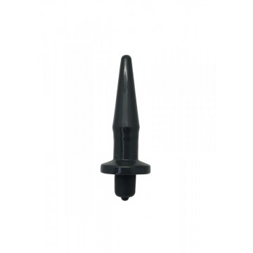 Plug/vibr-ANAL PLUG W/...
