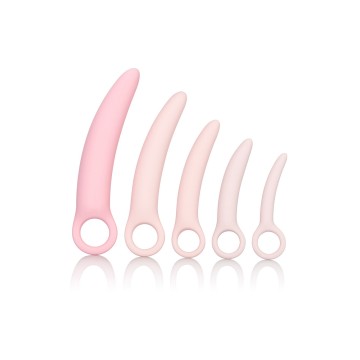 Dildo-INSPIRE SILICONE...