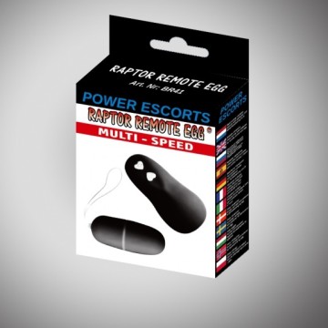 Raptor remote egg black...